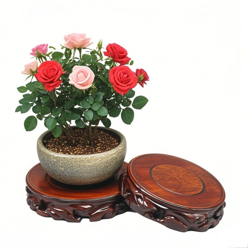 حامل نباتات خشبي متعدد الاستخد - مراجعة Coffee Tea For Garden وسعره